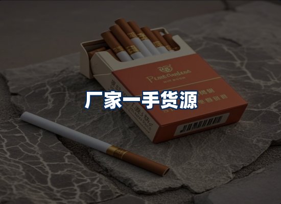 专业团队办公环境